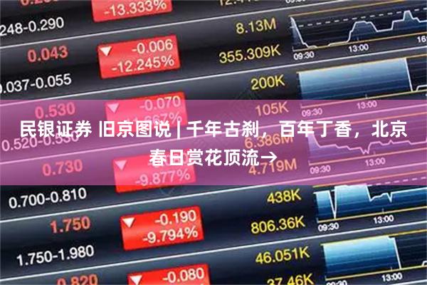 民银证券 旧京图说 | 千年古刹，百年丁香，北京春日赏花顶流→